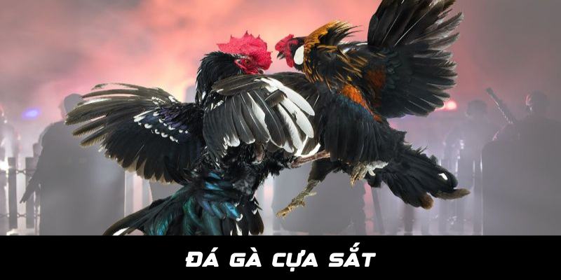 Đá Gà Jun88 - JUN88 - hình ảnh - hxlduzwbyt.top Đá Gà Jun88 - JUN88 - hình ảnh - hxlduzwbyt.top